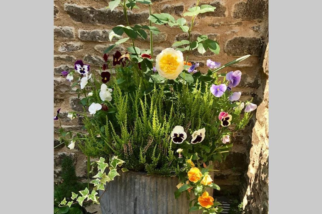 Oxfordshire Living - The Bowler Hat Cottage - 우드스톡 외부 사진